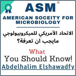 الإتحاد الامريكي للميكروبيولوجي (ASM)  بقلم عبد الحليم الشوادفي  Abdelhalim Elshawadfy, Ph.D., SM (ASCP), MLS (ASCP)  | Microbiologist