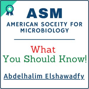 AMP by Abdelhalim Elshawadfy, PhD, MLS ASCP, SM ASCP, SMB ASCP - Microbiologist, Researcher | DrHalim.com