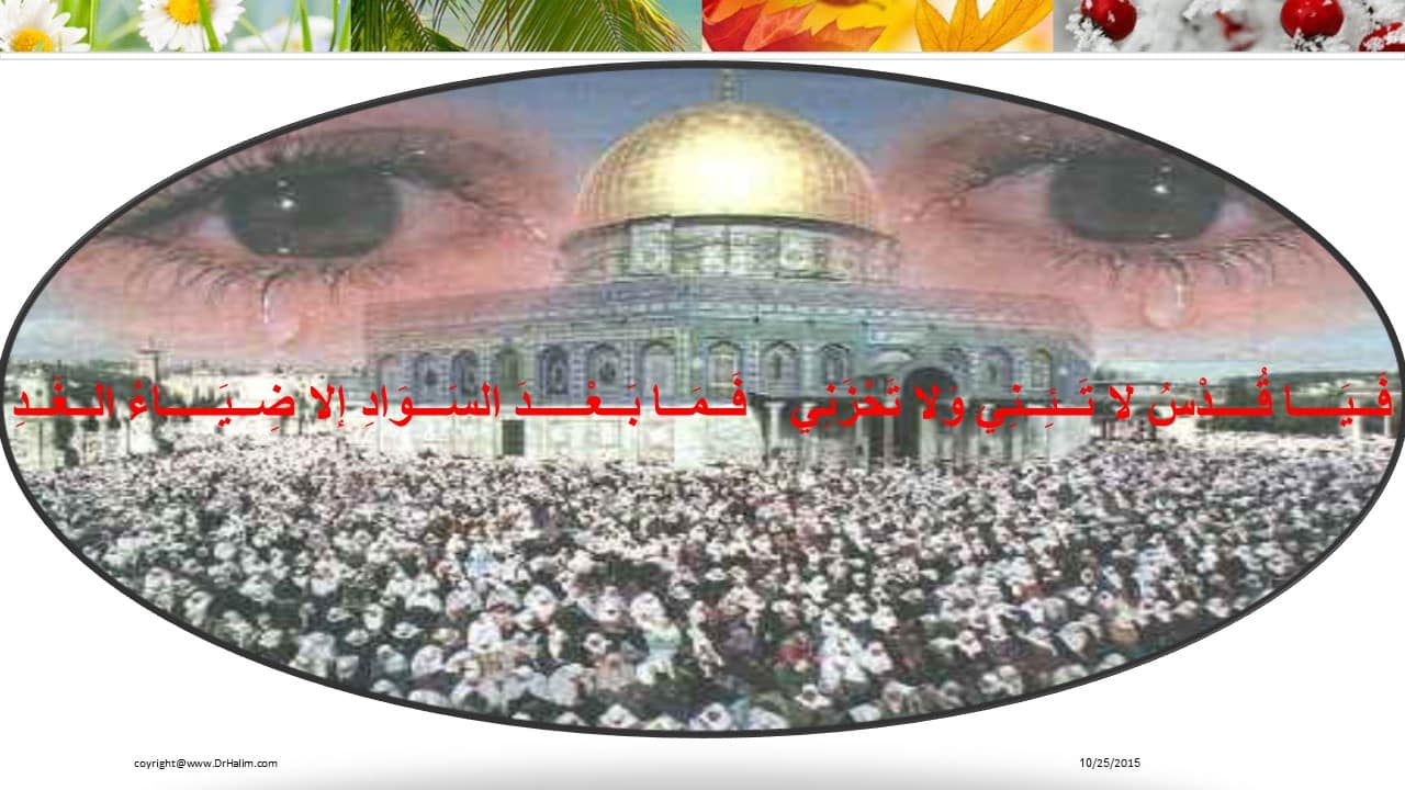 فَــيَــــا قُــــدْسُ لا تَــئِــنِي وَلا تَحْزَنِي فَــمَــا بَــعْـــــدَ السَـــــــوَادِ إلا ضِــيَـــــاءُ الــغَــدِ